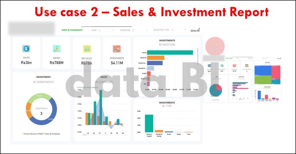 Sales & Investment Report